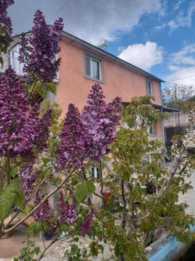 Byurakan Guesthouse & Cottage Buitenkant foto